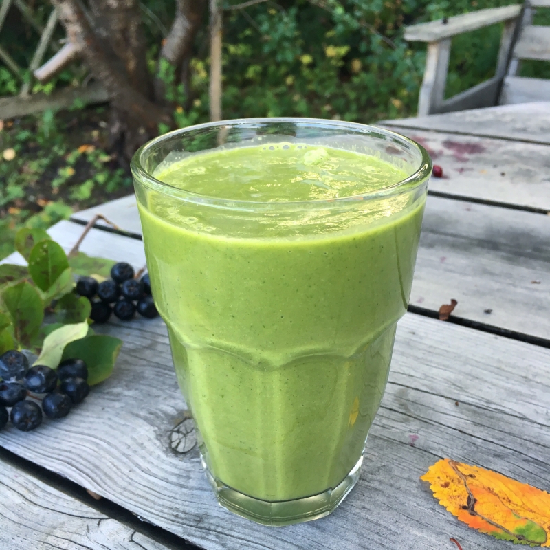 IMG_3926 - juice, råsaft, råsaftcentrifug, fänkål, selleri, gurka, äpple, citron, bladspenat, mynta, avocado, avokado