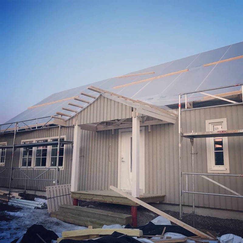 hus - Snöskottning, hus och förkylning