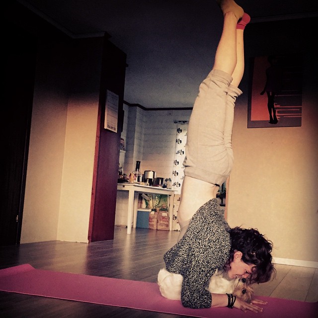 11038999_10205549182867183_4794484273736200539_n (1).jpg