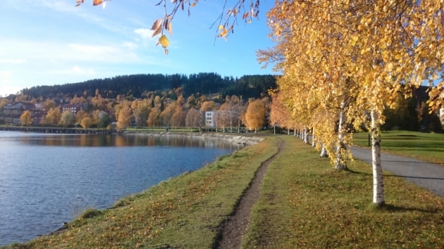 DSC_1258_1_0 - Säsongsavslutning och nya mål