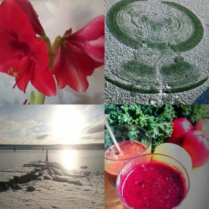 IMG_20170131_211704_0 - Vilken återhämtningstyp är du?