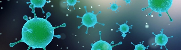 virus-1913183_640_0 - Viloveckan som kom av sig