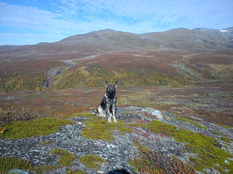 DSC00063 - Kristina lär dig åka skidor i Hemavan