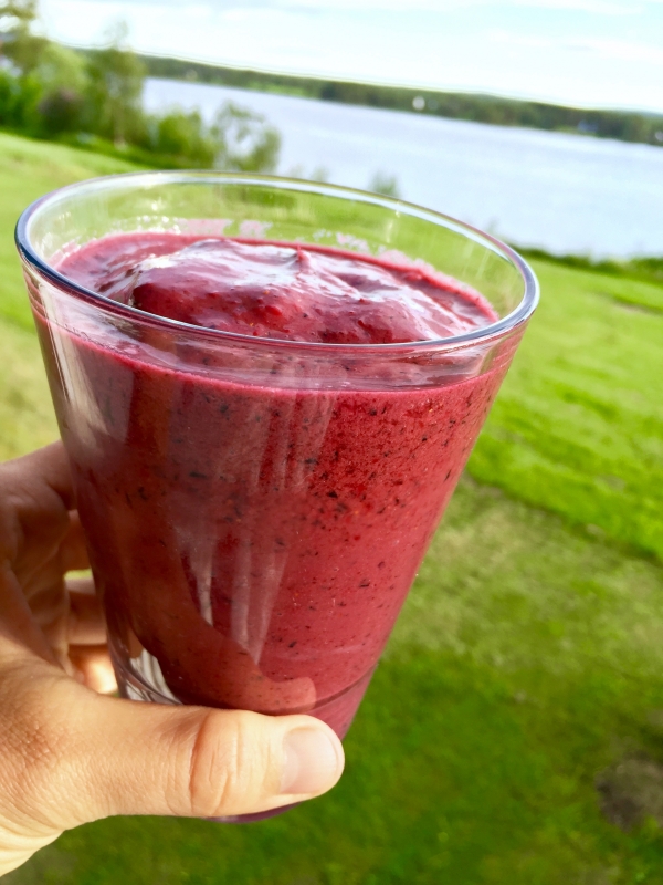 IMG_0106 - Recept: Lingon- och blåbärssmoothie