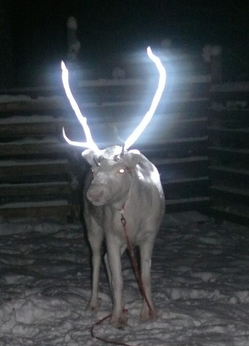 Ska%CC%88rmavbild%202016-10-24%20kl.%2014.34.00 - Svenska världsnyheten: Reflex på spray