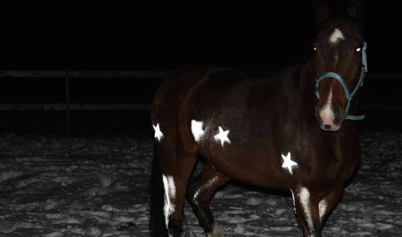 Ska%CC%88rmavbild%202016-10-24%20kl.%2014.35.02 - Svenska världsnyheten: Reflex på spray