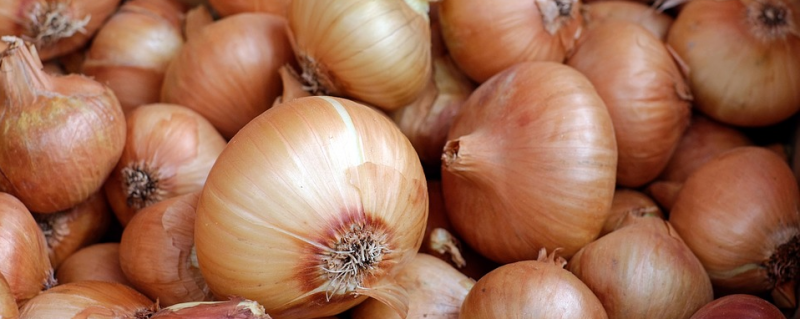 Ska%CC%88rmavbild%202016-10-26%20kl.%2008.39.53 - Nyttigt för dig – men farligt för katten