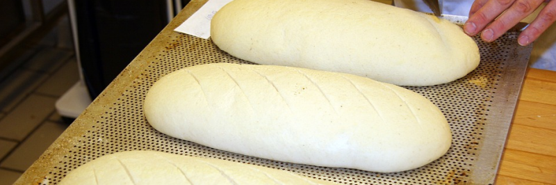 Ska%CC%88rmavbild%202016-10-26%20kl.%2008.40.39 - Nyttigt för dig – men farligt för katten