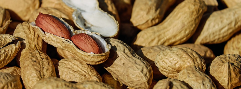 Ska%CC%88rmavbild%202016-11-01%20kl.%2008.20.58 - 12 källor till protein för dig som slopar köttet