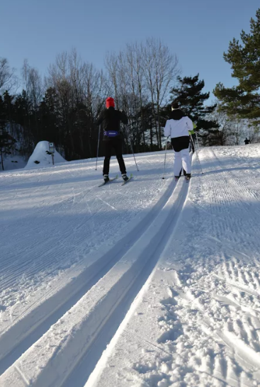 Ska%CC%88rmavbild%202016-12-20%20kl.%2015.23.13 - De spårar för stockholmarna