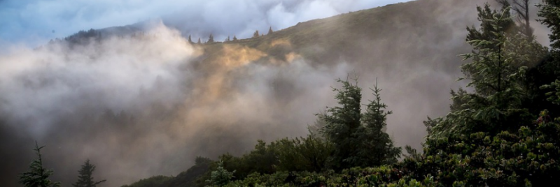 Ska%CC%88rmavbild%202017-01-16%20kl.%2016.43.10_0 - 11 sätt att göra träningen roligare