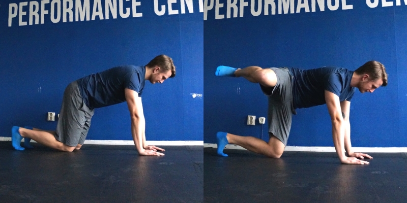 kissande%20hunden%201 - starkare rumpa