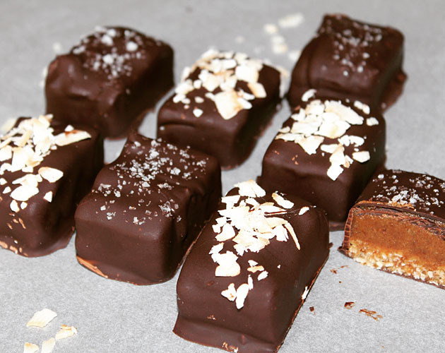 kokoskola - kokoskola