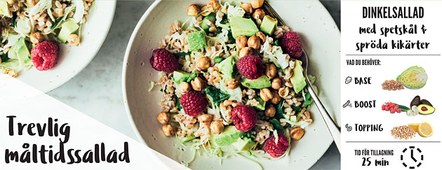 sallad3 - måltidssallad