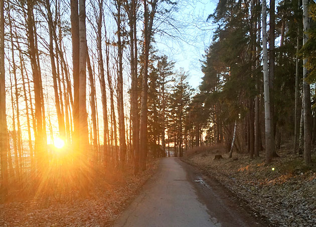 soluppgang - Starta veckan med tystnad