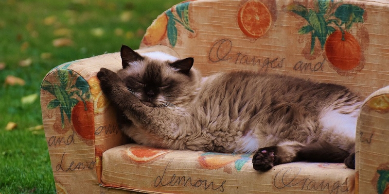 tjej2 - 10 saker styrketränande tjejer gör – och skäms för