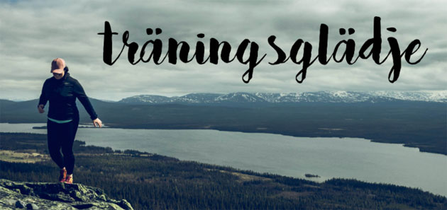 traningsgladje - bästa hälsobloggarna