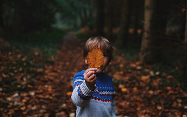 vann_hostlov - Hitta sinnesro på land och vatten – för hela familjen