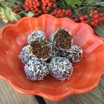 sites/default/files/Proteinbollar utan nötter.JPG