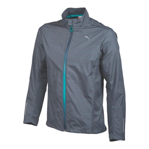 sites/default/files/Puma w.jpg