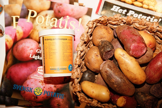 Salming SportHälsa after workout sites/default/files/_75_8828.jpg