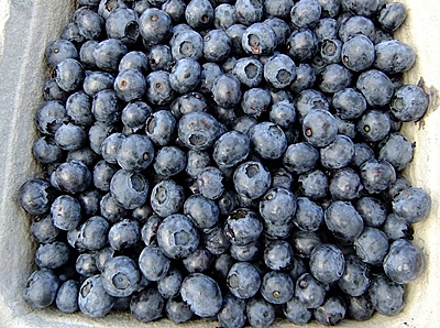sites/default/files/blueberries-65648_640_0.jpeg