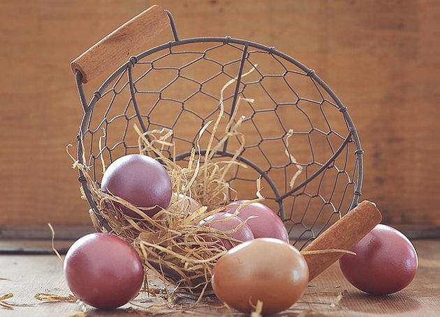sites/default/files/easter-eggs-1234586_640.jpg