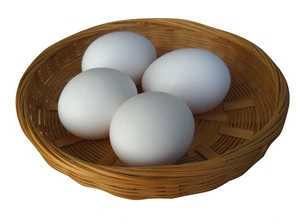 eggs-17987_640.jpeg sites/default/files/eggs-17987_640.jpeg
