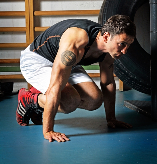 grodan2 webb.jpg sites/default/files/grodan2 webb.jpg