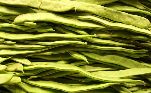 sites/default/files/haricot verts.jpeg