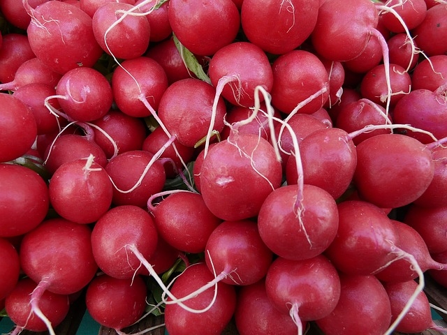 radishes-5739_640.jpeg sites/default/files/radishes-5739_640.jpeg