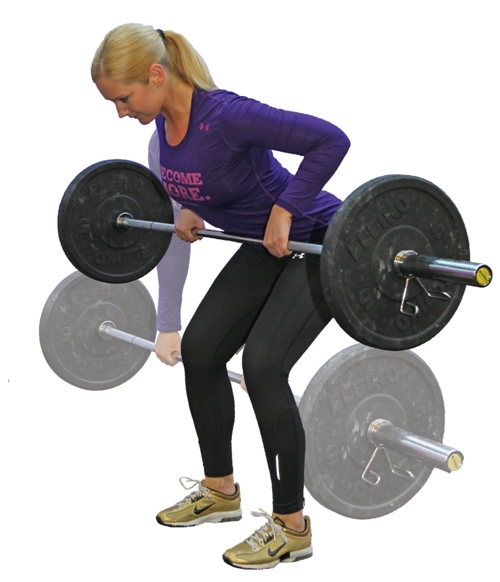 rygg.jpg sites/default/files/rygg.jpg