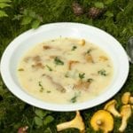 Recept: Kantarellsoppa med äpple