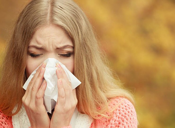 pollenallergi_forkyld