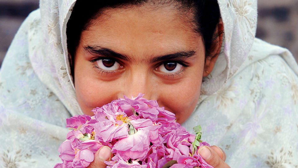 Flicka-m-rosblad-helbild-TRYCK