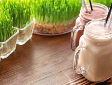 mat_ordlista_smoothie_gras