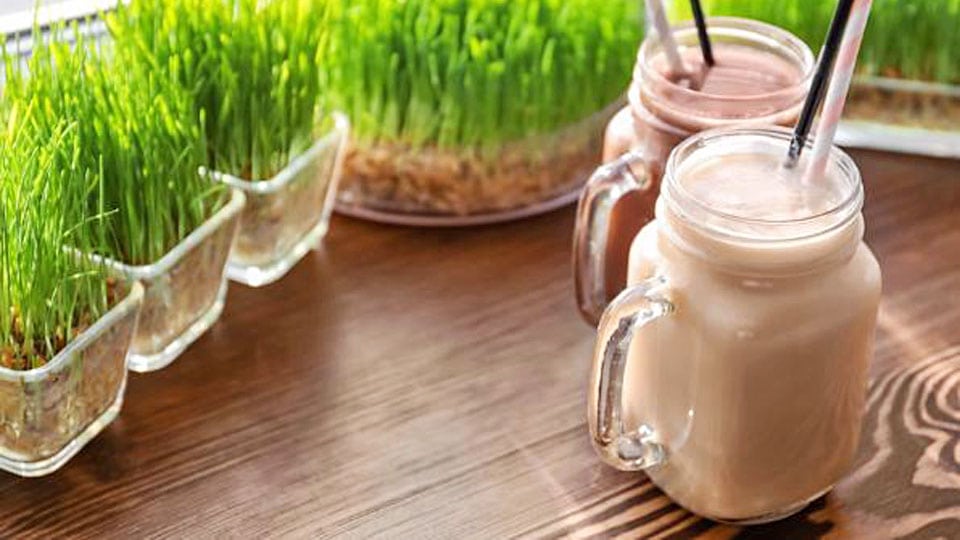 mat_ordlista_smoothie_gras