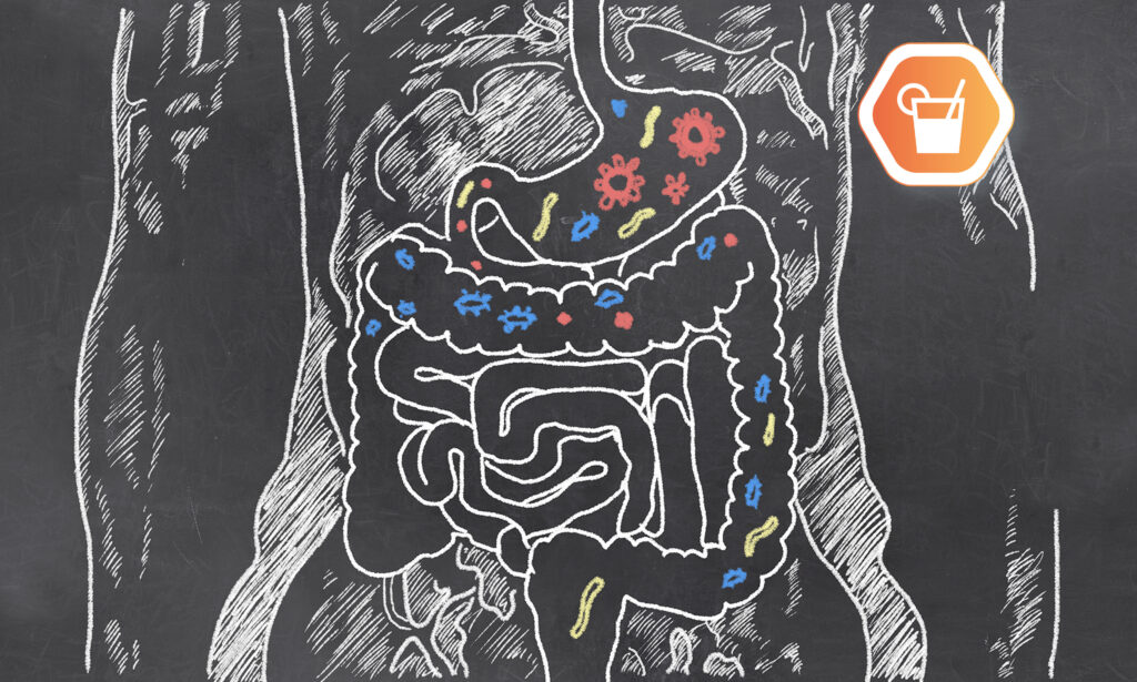 tarmflora-1024x615 - fermenterad dryck