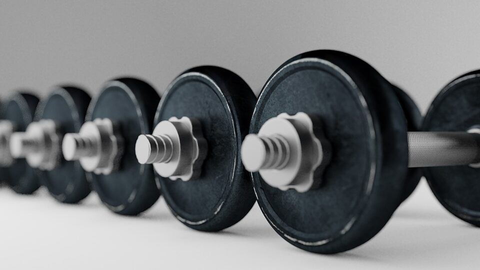 dumbell-3435990_1280-e1600848145418 - Hälsa
