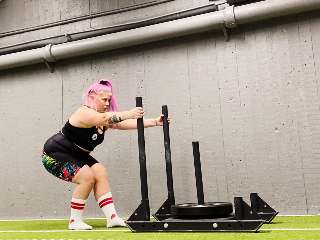 19BA9CD7-A27C-42C0-A48F-7216AE4E96A6-1024x769 - Släde