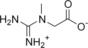 Kreatin-300x164 - PWO