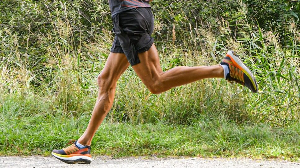 Rubato-16-e1602429395350 - Rubato