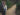 vandra_prom