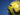 fotboll_nat