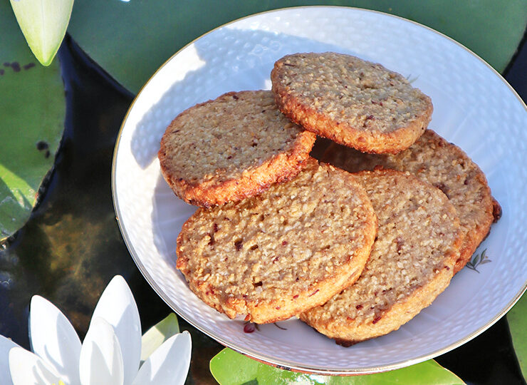 glutenfria havrekakor