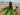 cbd-infos-tCZVzr9TvxQ-unsplash-scaled