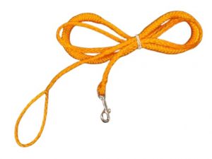 draglina-300x225 - Skidåkning med hund