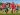fotboll barn