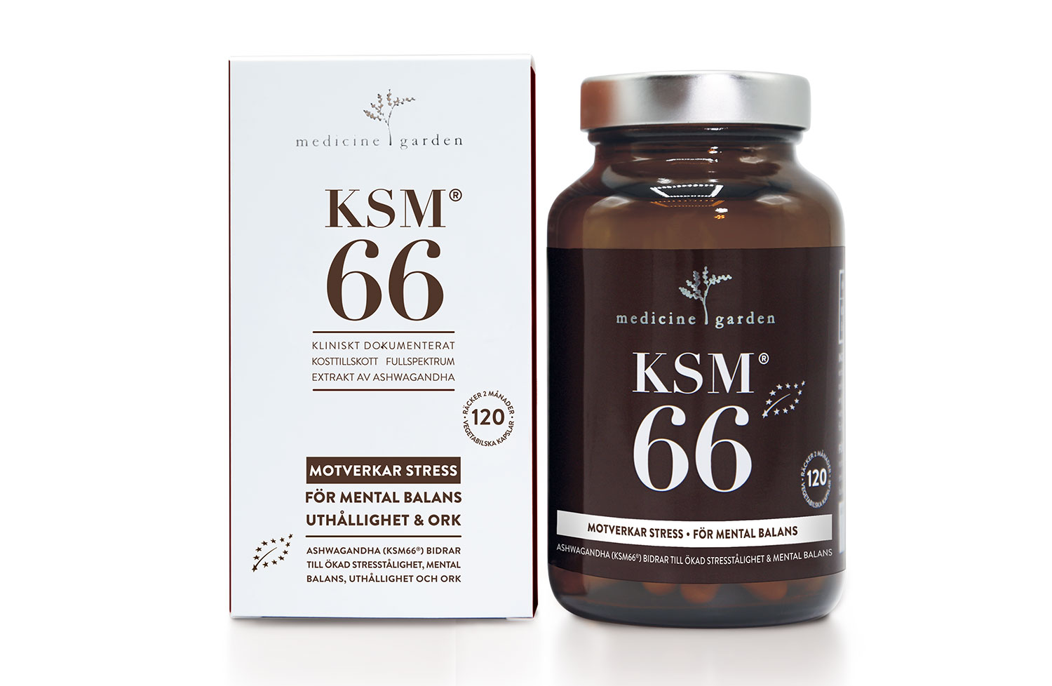 8.KSM66 - KSM66