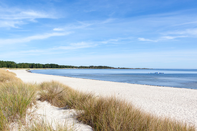 1CFB3F52C2C248C2B89671F8B8C4D65B - yoga